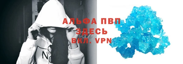 прущие грибы Арсеньев