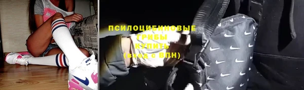 твердый Алексин