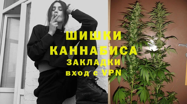 гидра Аркадак