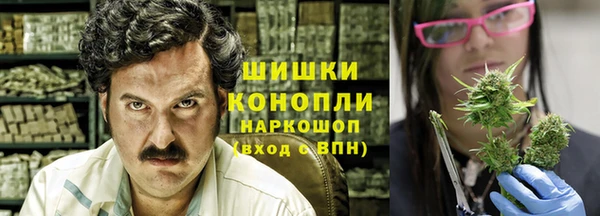 ешки Алзамай