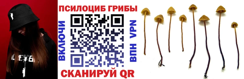 Псилоцибиновые грибы Magic Shrooms  Жуковка 